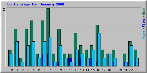 Hourly usage for January 2009
